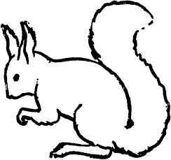 Мой живой уголок - i_059.jpg