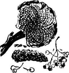 Мой живой уголок - i_067.jpg