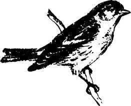 Мой живой уголок - i_069.jpg