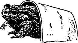 Мой живой уголок - i_088.jpg