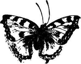 Мой живой уголок - i_095.jpg