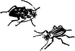 Мой живой уголок - i_103.jpg