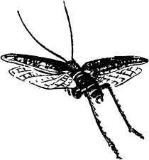 Мой живой уголок - i_108.jpg