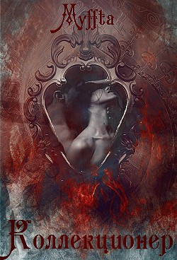 Книга Коллекционер (СИ)