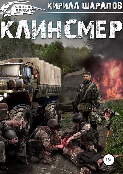 Книга Клинсмер (СИ)