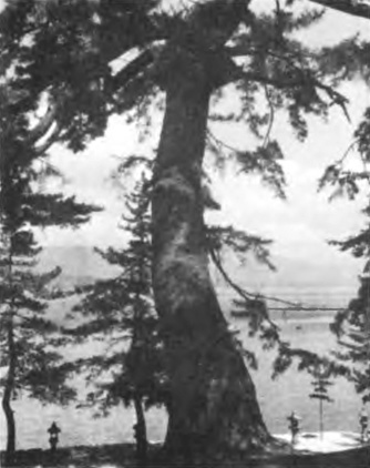 Мир дзэн - i_032.jpg