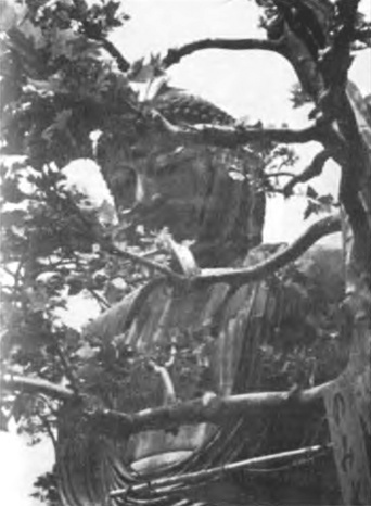 Мир дзэн - i_038.jpg