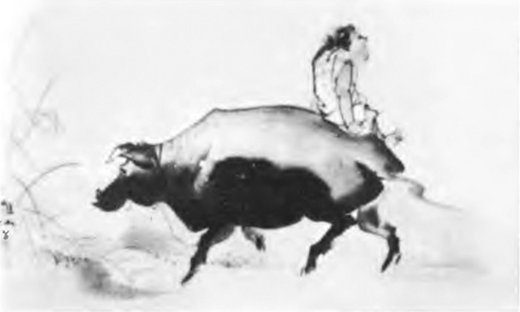 Мир дзэн - i_062.jpg