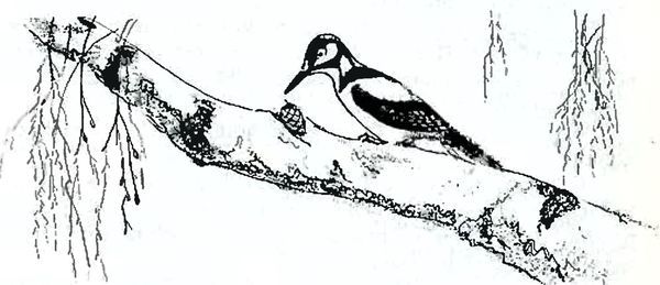 В краю дедушки Мазая<br />(Рассказы) - i_014.jpg