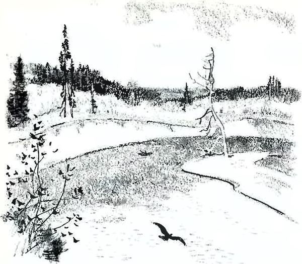 В краю дедушки Мазая<br />(Рассказы) - i_015.jpg