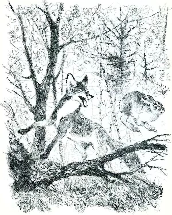 В краю дедушки Мазая<br />(Рассказы) - i_018.jpg