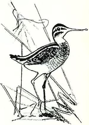 В краю дедушки Мазая<br />(Рассказы) - i_026.jpg