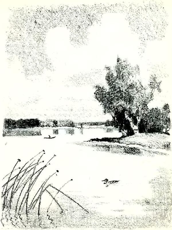 В краю дедушки Мазая<br />(Рассказы) - i_031.jpg