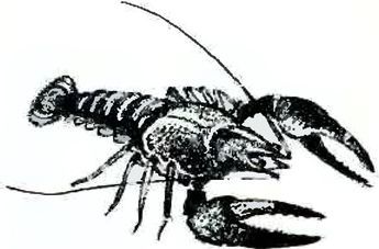 В краю дедушки Мазая<br />(Рассказы) - i_032.jpg