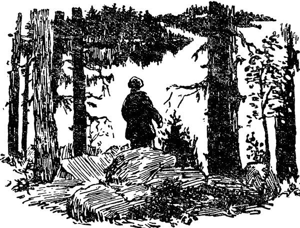 Воробьиная ночь<br />(Рассказы) - i_007.jpg