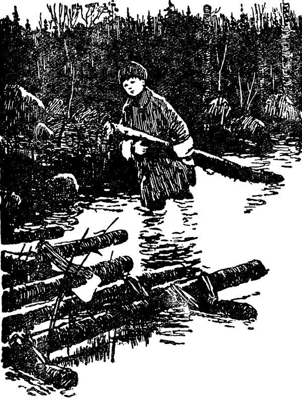 Воробьиная ночь<br />(Рассказы) - i_008.jpg