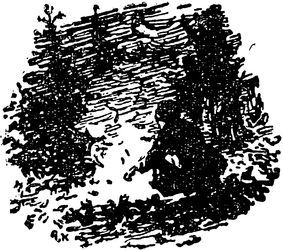 Воробьиная ночь<br />(Рассказы) - i_010.jpg