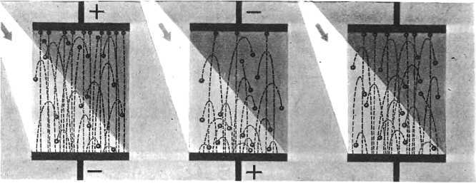 Девять цветов радуги - i_021.jpg
