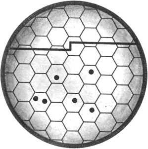 Девять цветов радуги - i_032.jpg