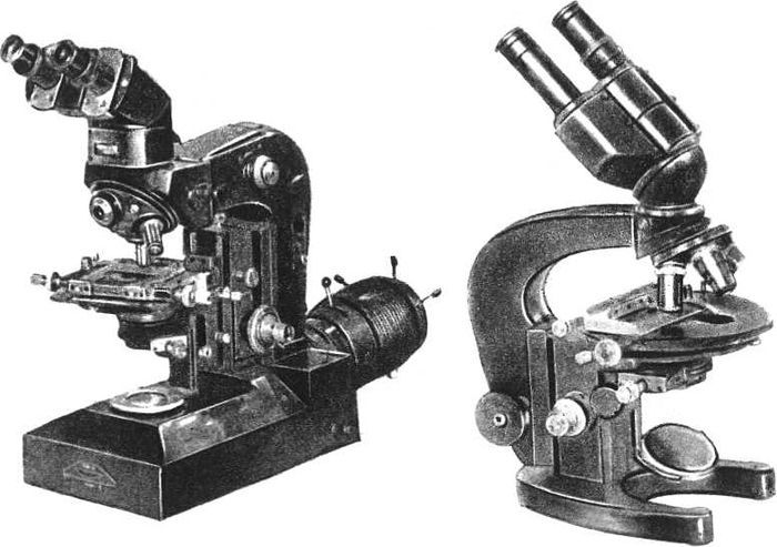 Девять цветов радуги - i_074.jpg