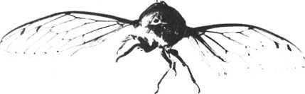 Девять цветов радуги - i_106.jpg