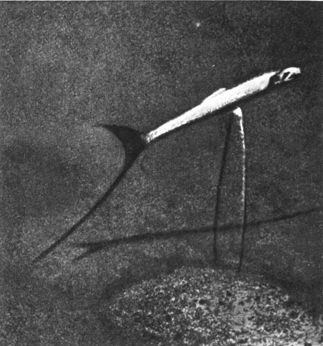 Девять цветов радуги - i_111.jpg