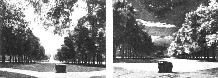 Девять цветов радуги - i_114.jpg