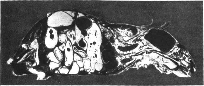 Девять цветов радуги - i_116.jpg