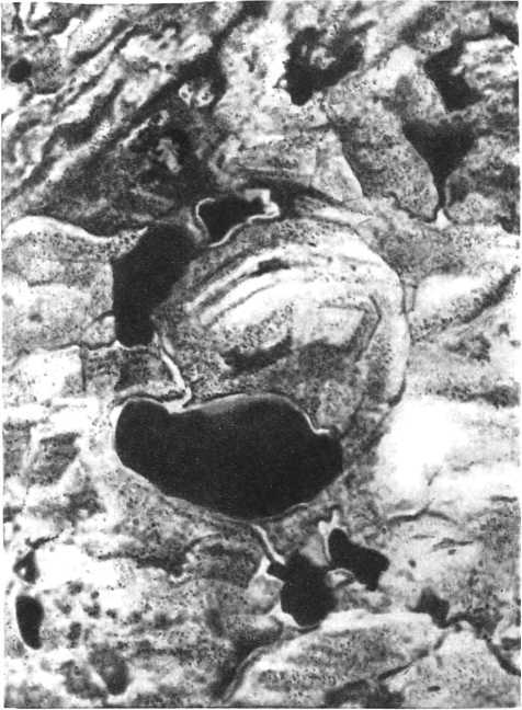 Девять цветов радуги - i_117.jpg