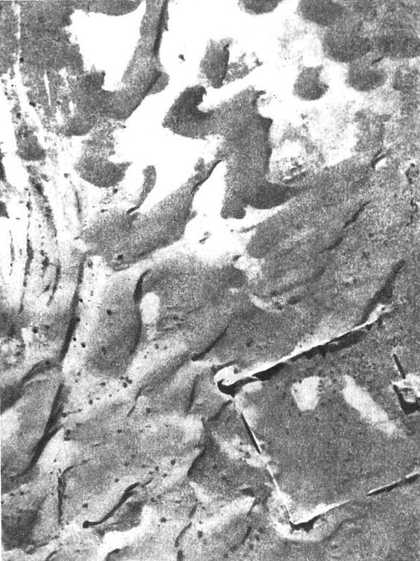 Девять цветов радуги - i_118.jpg