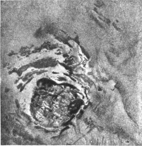 Девять цветов радуги - i_119.jpg