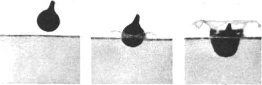 Девять цветов радуги - i_125.jpg