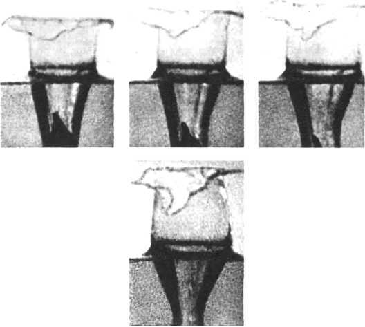 Девять цветов радуги - i_127.jpg