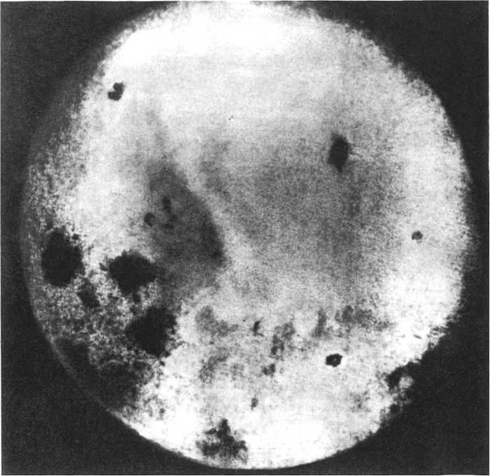 Девять цветов радуги - i_146.jpg