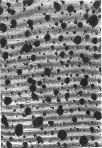 Девять цветов радуги - i_153.jpg