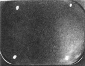 Девять цветов радуги - i_160.jpg