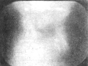 Девять цветов радуги - i_161.jpg