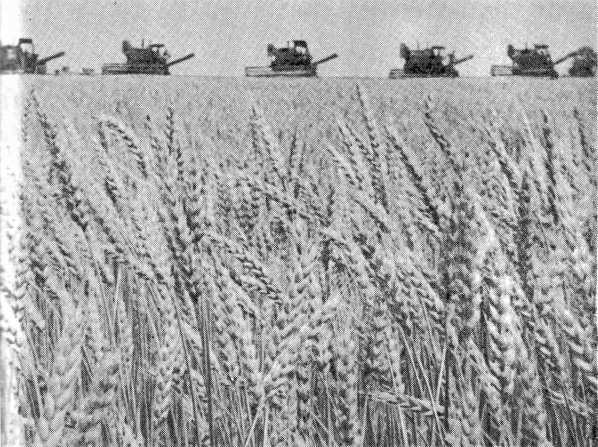 Бродовский котел<br />(Воспоминания. Очерки. Документы) - i_074.jpg