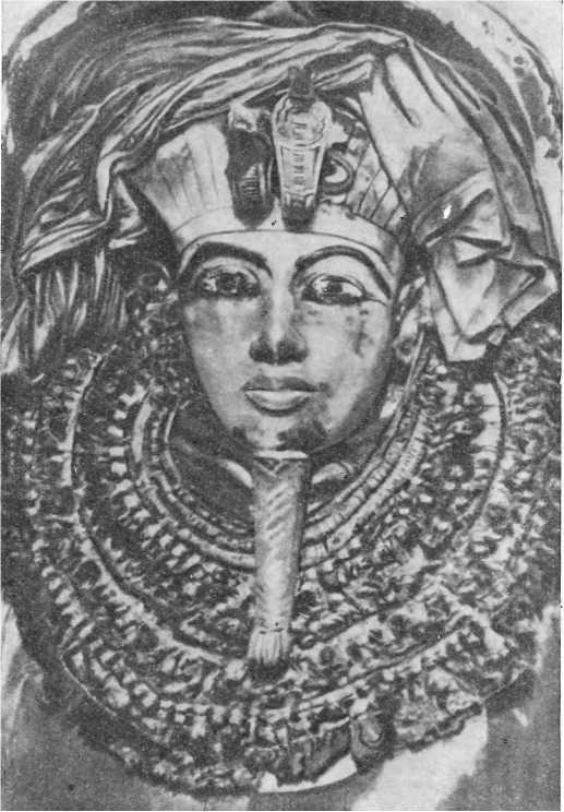 В долинах золотого песка - i_004.jpg