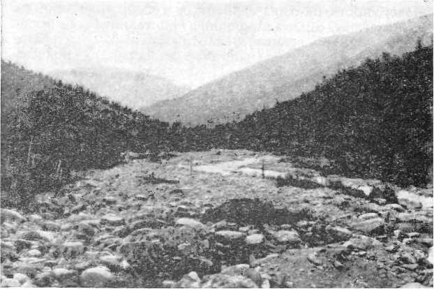 В долинах золотого песка - i_008.jpg