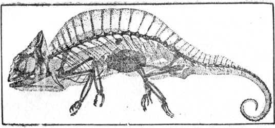 Покоренный электрон - i_046.jpg