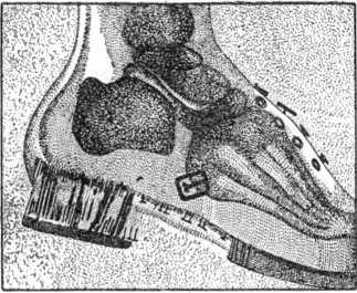 Покоренный электрон - i_049.jpg