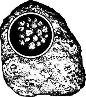 Рождение миров - i_081.jpg