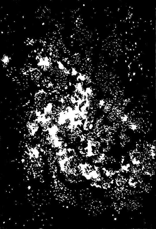 Рождение миров - i_100.jpg