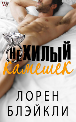 Книга Нехилый камешек (ЛП)