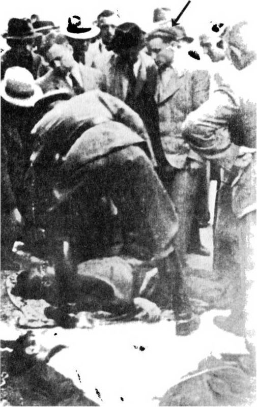 Райнхард Гейдрих — паладин Гитлера<br />(сборник) - i_050.jpg