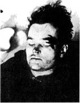 Райнхард Гейдрих — паладин Гитлера<br />(сборник) - i_053.jpg