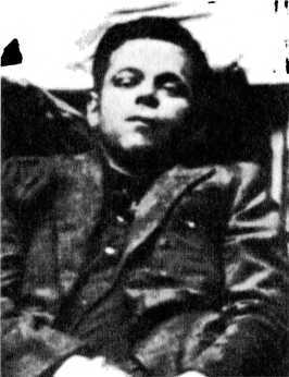 Райнхард Гейдрих — паладин Гитлера<br />(сборник) - i_054.jpg