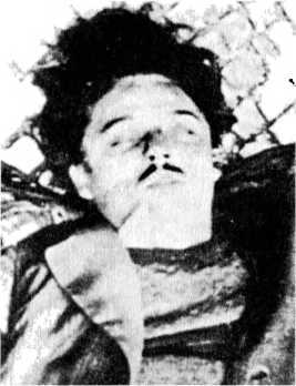 Райнхард Гейдрих — паладин Гитлера<br />(сборник) - i_055.jpg