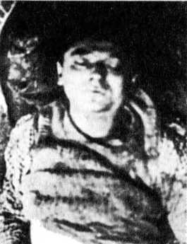 Райнхард Гейдрих — паладин Гитлера<br />(сборник) - i_058.jpg